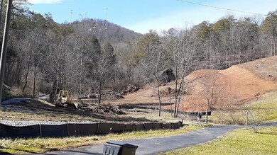 Cabin Development across the road