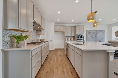 24458 W Kroll Dr unit 65395, Plainfield, IL 60585 - photo 2