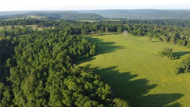 80 Acres Brannon Mountain Rd, Fayetteville, AR 72701 - photo 5