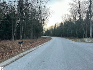 V/L Kingswood Ln, Oscoda Township, MI 48750 - photo 3