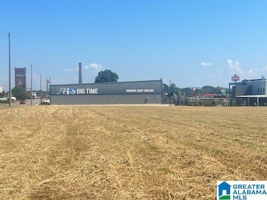 0 Elm St unit m&b 21432126, Oxford, AL 36203 - photo 3