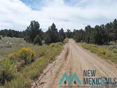 TBD Five Gate Rd, Candy Kitchen, NM 87357 - photo 4