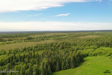 Alaskan Wildwood Ranch(r) P2 (4)