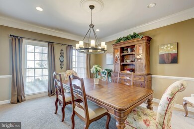 856 Queens Park Dr, Owings Mills, MD 21117 - photo 7