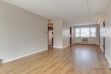 999 S Euclid Ave unit 3N, Elmhurst, IL 60126 - photo 5