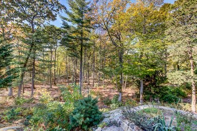 130 Forest Ave unit 1, Cohasset, MA 02025 - photo 5