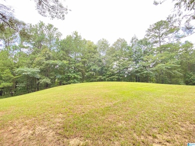 964 Blue Ridge Way unit 41, Odenville, AL 35120 - photo 6