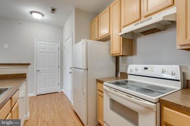 22607 Blue Elder Terrace unit 304, Ashburn, VA 20148 - photo 6