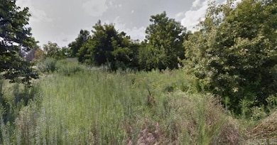 614 S Park St, Rector, AR 72461 - photo 4