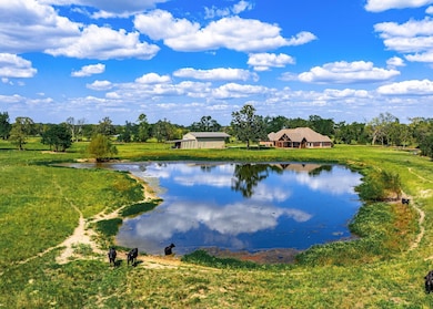 1436 County Road 2315, Sulphur Springs, TX 75482 - photo 4