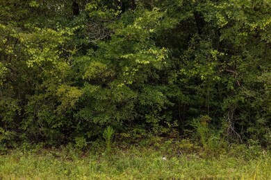 0 Pike Pond Rd unit 25388252, Alford, FL 32420 - photo 6