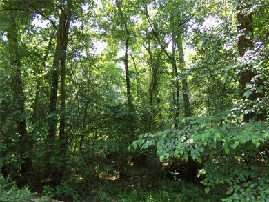 20719 New Kentucky Village, Hockley, TX 77447 - photo 4