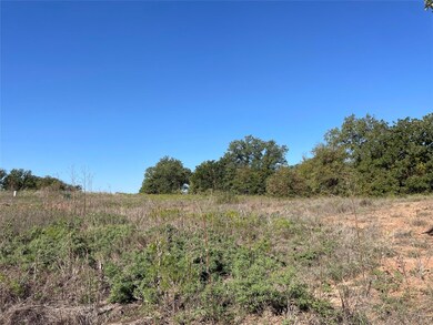 149 Paradise Oaks Ct, Paradise, TX 76073 - photo 6