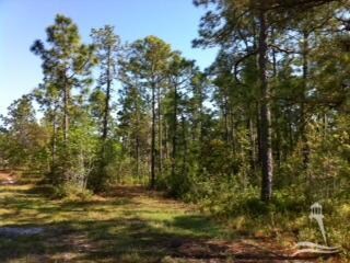 481 W South Shore Dr, Boiling Spring Lakes, NC 28461 - photo 2