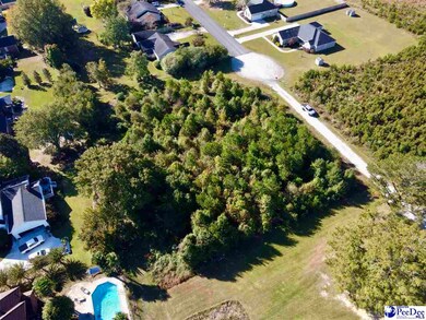Lot 13 Shorebird Ln, Florence, SC 29501 - photo 2