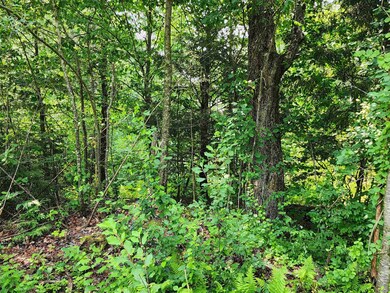 0 Creamery Rd, Fitzwilliam, NH 03447 - photo 4