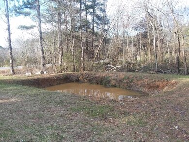 2879 Highway 201, La Fayette, GA 30728 - photo 7