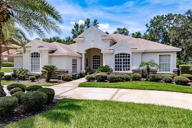 6031 Audubon Manor Blvd, Lithia, FL 33547 - photo 3