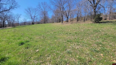 490-00001-008 Fox Chase Dr, Flippin, AR 72634 - photo 6