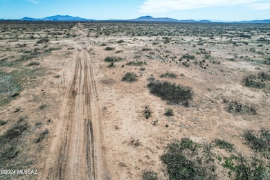 catclaw5acres-11