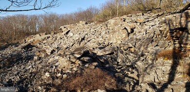 265 S Branch Mountain Rd, Moorefield, WV 26836 - photo 2