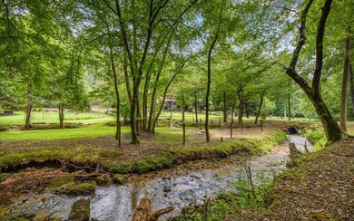 389 Ross Creek Rd, Ellijay, GA 30540 - photo 5