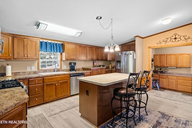 566 McTeer St, Greenback, TN 37742 - photo 5