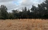 0 SW McGriff Ln, Lake City, FL 32024 - photo 3