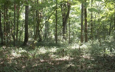 0 Ohio St unit 91490, Fort White, FL 32038 - photo 3