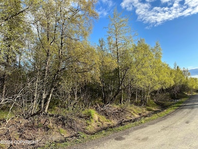 Vacant .8 Ac