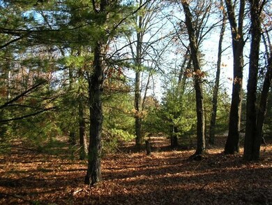 0 Crescent Rd unit 1669467, Byron, WI 54666 - photo 6