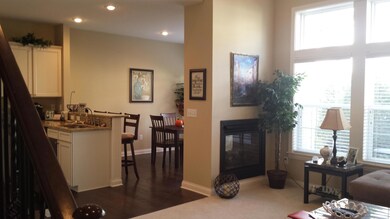 See thru Fireplace