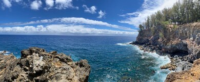 45-5060 Nanaina Kai Rd, Honokaa, HI 96727 - photo 4