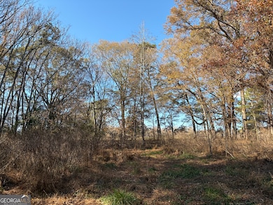 390 Beck Farm Rd, Commerce, GA 30529 - photo 3