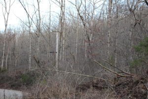 IMG_0107