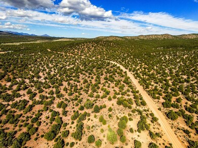 18751 Pine Valley Rd, Beryl, UT 84714 - photo 7