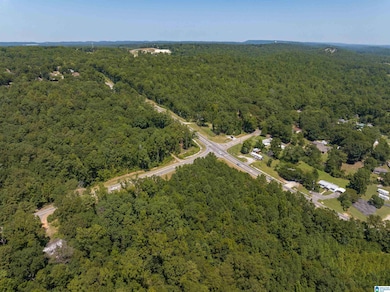 0000 Highway 52 unit 12-6-13-0-000-021.00, County, AL 35080 - photo 5