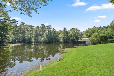 203 John Henry Lake Rd, Poplarville, MS 39470 - photo 2