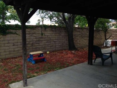 Backyard.