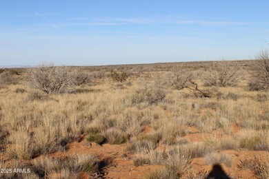 Lot 224 Ccr Unit 2 -- unit 224, Heber, AZ 85928 - photo 2