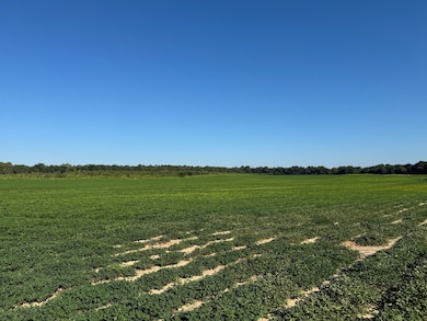 1043 Wacaser Corner Rd, Colquitt, GA 39837 - photo 6