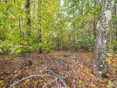 0 Johnson Ave, Inman, SC 29349 - photo 5