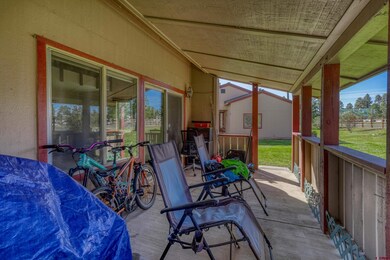 217 Pinon Causeway unit 3025, Pagosa Springs, CO 81147 - photo 5