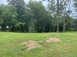 0 Cline Ridge Rd unit RTC2969476, Winchester, TN 37398 - photo 3