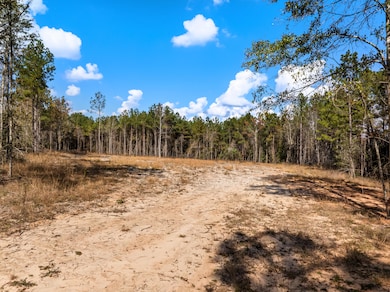 00 Springhill School Rd, Collins, MS 39428 - photo 5