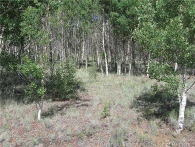 163 Mannlicher Rd, Como, CO 80432 - photo 3