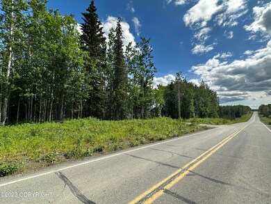 Property frontage on Scout Lake Loop