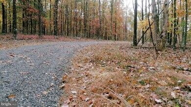 0 Siler Rd unit VAFV154184, Winchester, VA 22603 - photo 3