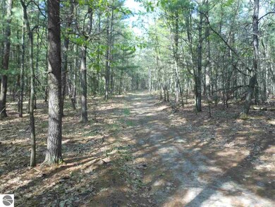 0 Powerline Rd unit 1847246, Whittemore, MI 48770 - photo 2