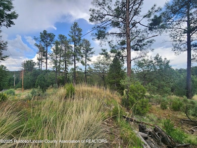 Lot 2A Snow Park Rd, Alto, NM 88312 - photo 6